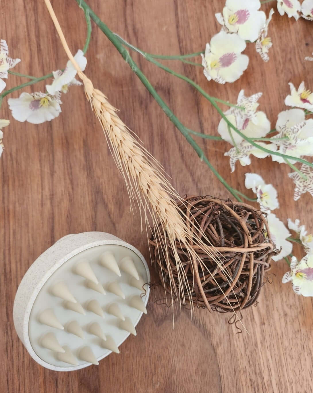 Kopfhautbürste 🌱 für nachhaltige Pflege, biologisch abbaubar, mit Noppen zur Kopfhautmassage und Haarwachstumsförderung.